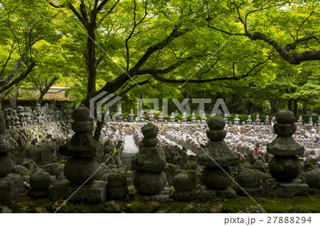 化野念仏寺の新緑 27888294