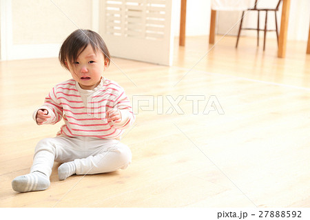 大泣きする1才児 大泣きする1才児 27888592