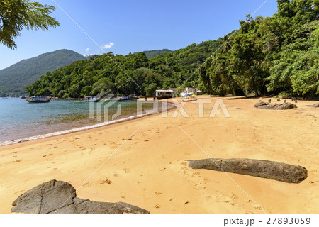 Bech and rainforest 27893059
