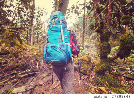 Hike in Nepal jungle 27895343