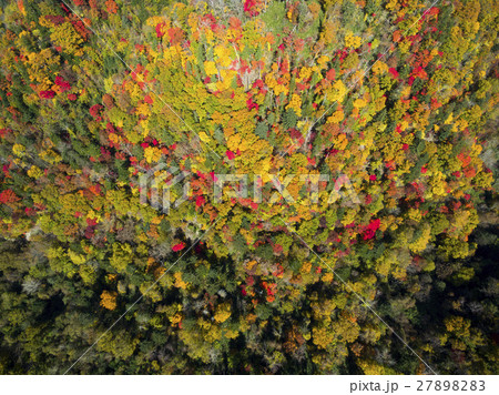 秋の恵庭渓谷（空撮 真俯瞰） 27898283