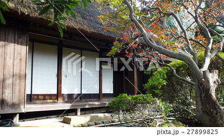 古民家の庭園 鷹見泉石邸庭園 古民家の庭園 鷹見泉石邸庭園 27899825