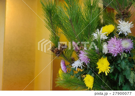 黄金屏風に菊の生け花 27900077