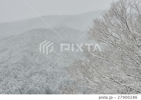 一面雪の吉野の山々 27900286