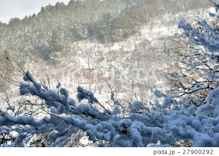 日陰雪の華と陽光の当たる雪山斜面の趣き 日陰雪の華と陽光の当たる雪山斜面の趣き 27900292