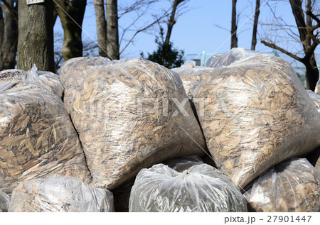 枯れ葉 枯れ葉 27901447