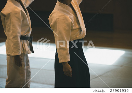 martial artist 27901956