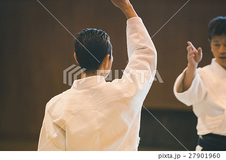 martial artist 27901960