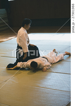 martial artist martial artist 27901966
