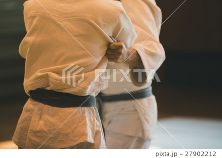 martial artist 27902212