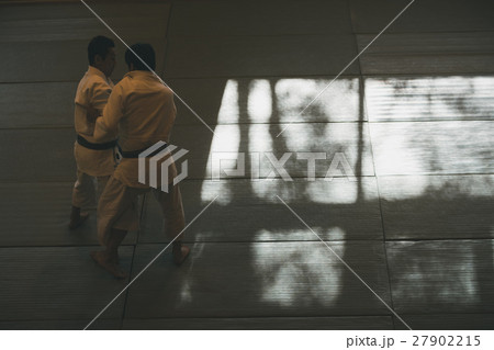 martial artist martial artist 27902215