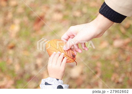 赤ちゃん (紅葉 秋 落ち葉 落葉 枯れ葉 枯葉 カジュアル 家族 ファミリー 顔無し 後ろ姿) 赤ちゃん (紅葉 秋 落ち葉 落葉 枯れ葉 枯葉 カジュアル 家族 ファミリー 顔無し 後ろ姿) 27902602