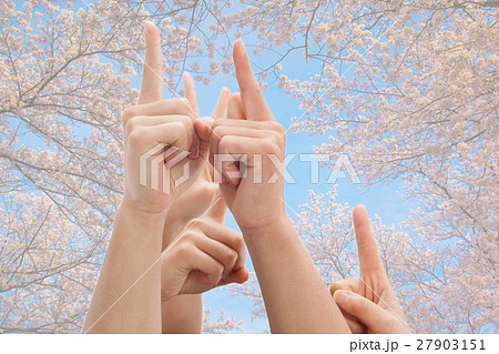 手をあげる 27903151