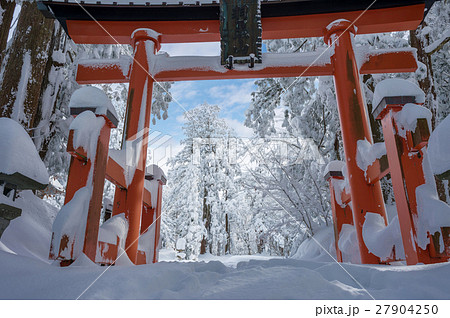 厳冬期の羽黒山杉並木 厳冬期の羽黒山杉並木 27904250