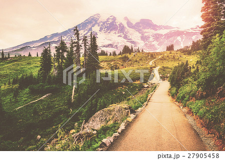 path way,mt rainier national park,Washington,usa. 27905458