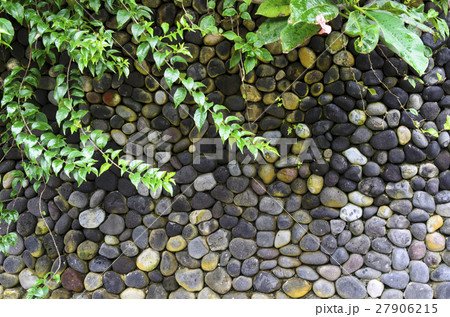 Texture of old stone wall covered green moss in Texture of old stone wall covered green moss in 27906215