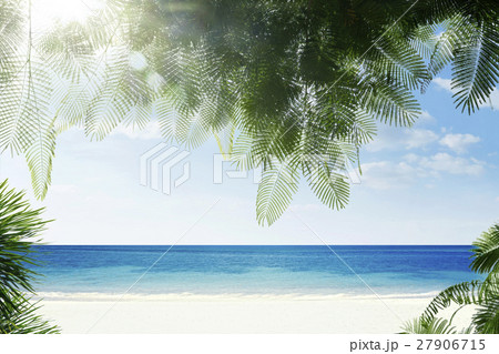 tropic view tropic view 27906715