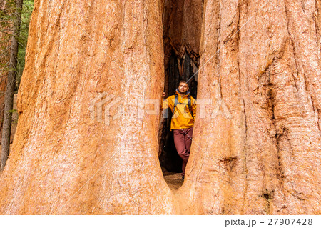 Tourist with backpack hiking in Sequoia National Park Tourist with backpack hiking in Sequoia National Park 27907428