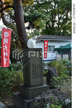 仙台・櫻岡大神宮と猫 27908840