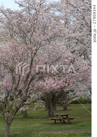 宮城・みちのく杜の湖畔公園 27909344