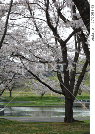 宮城・みちのく杜の湖畔公園 宮城・みちのく杜の湖畔公園 27909345