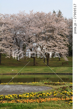 宮城・みちのく杜の湖畔公園 宮城・みちのく杜の湖畔公園 27909517