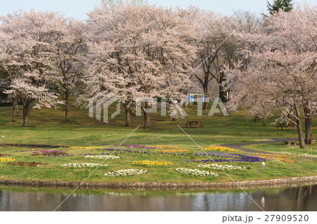 宮城・みちのく杜の湖畔公園 宮城・みちのく杜の湖畔公園 27909520
