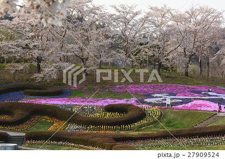 宮城・みちのく杜の湖畔公園 宮城・みちのく杜の湖畔公園 27909524