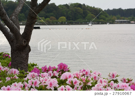 水戸・千波湖 水戸・千波湖 27910067
