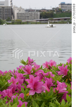 水戸・千波湖 水戸・千波湖 27910069