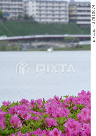 水戸・千波湖 水戸・千波湖 27910074