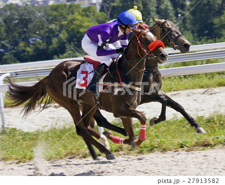 Horse racing 27913582
