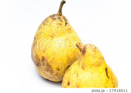 ル・レクチェ 27916611