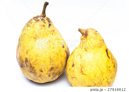 ル・レクチェ ル・レクチェ 27916612