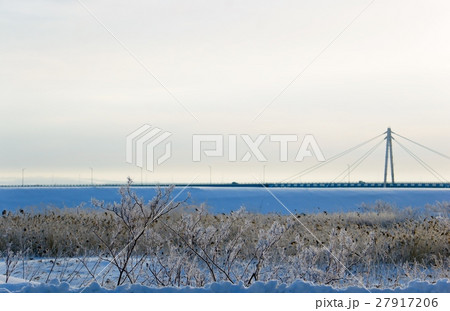 樹氷 樹氷 27917206