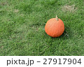 pumpkin on the green grass  27917904