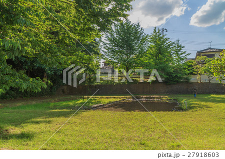 春の皇産霊神社の神田の風景 27918603