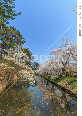 春の弘前城の風景 27921331