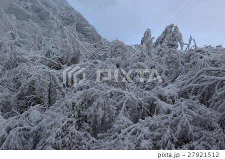 樹氷 27921512