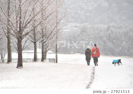 雪の日の散歩 27921513