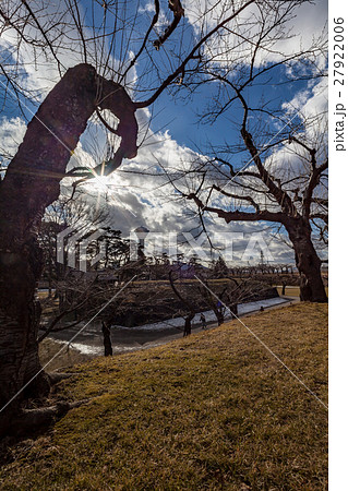五稜郭公園の桜木を照らす冬の太陽 五稜郭公園の桜木を照らす冬の太陽 27922006