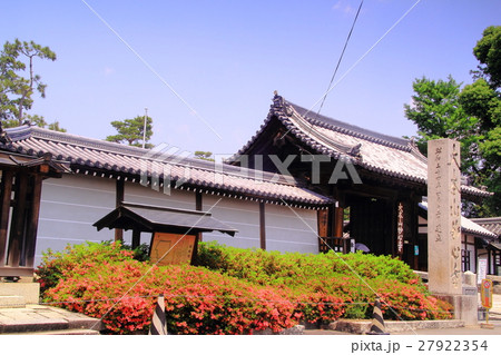 春の妙心寺（京都) 27922354