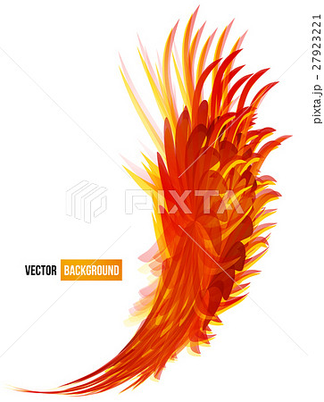 flower set banner . brochure template 27923221