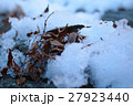 積もった雪と落ち葉 27923440