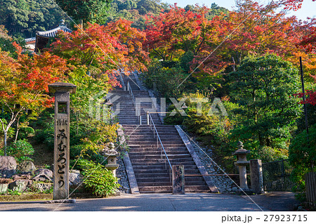 京都 三室戸寺の紅葉 京都 三室戸寺の紅葉 27923715