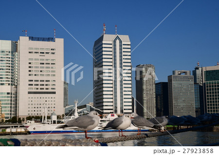 豊海埠頭から竹芝方面X 豊海埠頭から竹芝方面X 27923858