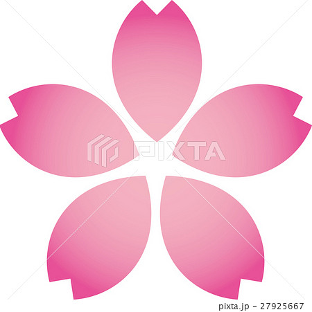 桜桃花一輪 ピンクぼかし 桜桃花一輪 ピンクぼかし 27925667