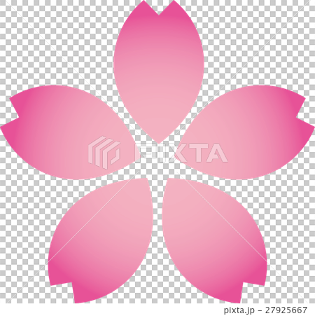 桜桃花一輪 ピンクぼかし 桜桃花一輪 ピンクぼかし 27925667