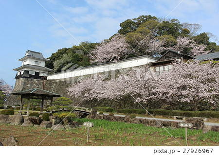 さくら　大村公園 27926967
