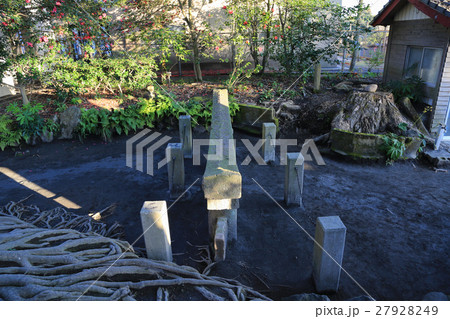 鹿児島県鹿児島市　黒神埋没鳥居 27928249